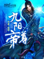 九阳帝尊陆玄在线阅读