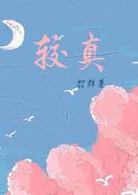 较真讲的什么