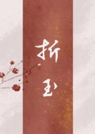 折玉补玉阅读