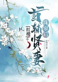 红楼首辅贤妻珠帘后爱初会23 前情已断